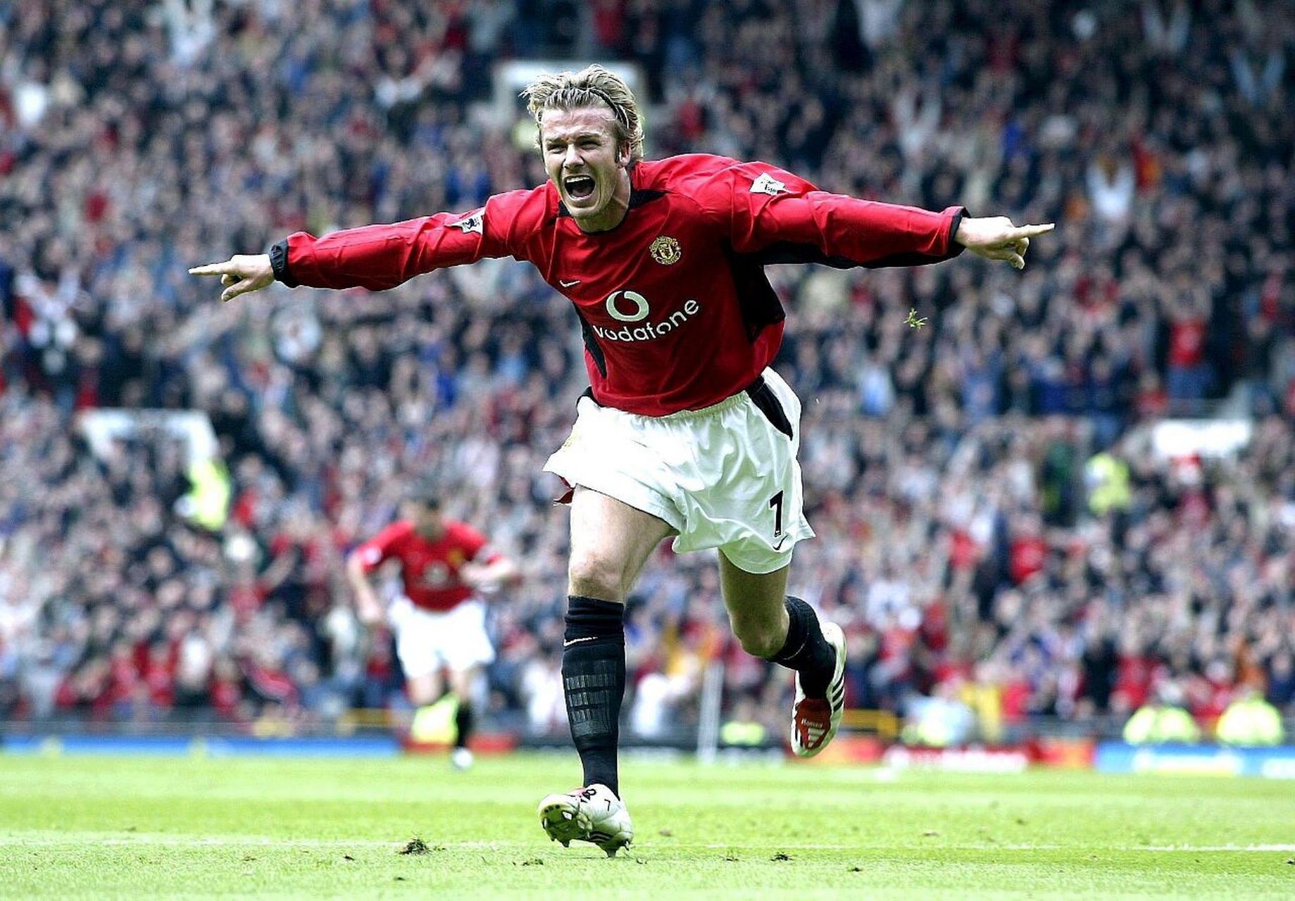 不具备强大 不具备强大